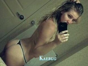 Kaebug