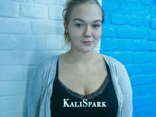 KaliSpark