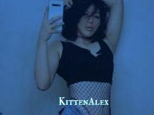 KittenAlex