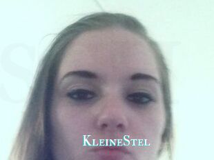 KleineStel