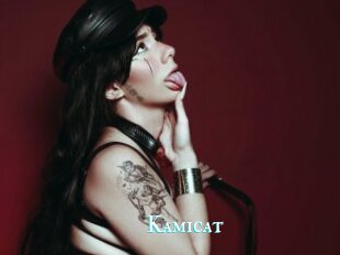 Kamicat