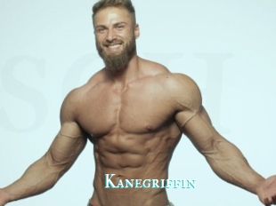 Kanegriffin