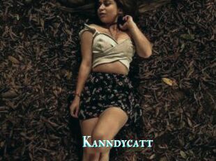 Kanndycatt