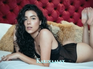 Karinaalvy