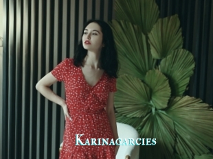 Karinagarcies