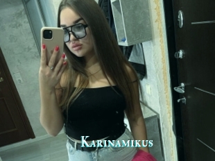 Karinamikus