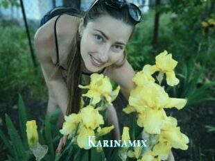 Karinamix