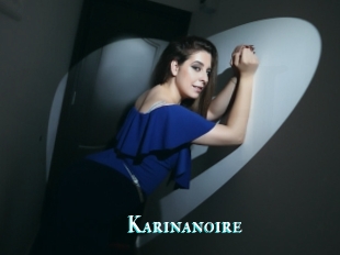 Karinanoire