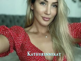 Katherinnekat