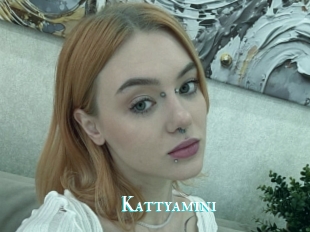 Kattyamini