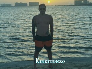 Kinkygonzo