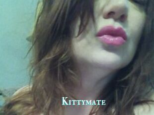 Kittymate