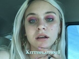 Kittysplaypen18