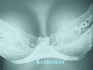Kleineslet
