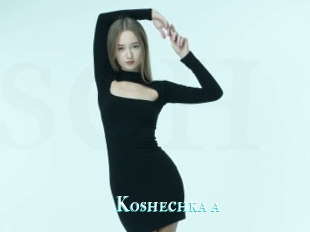 Koshechka_a