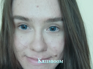 Kriisboom