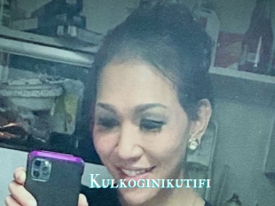 Kulkoginikutifi