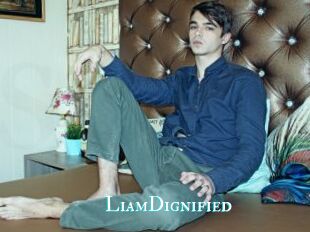 LiamDignified