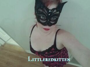 Littleredkitten