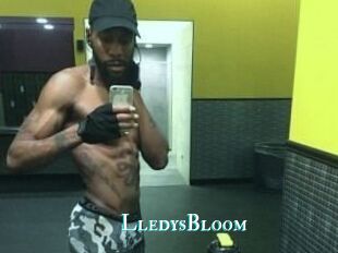 Lledys_Bloom