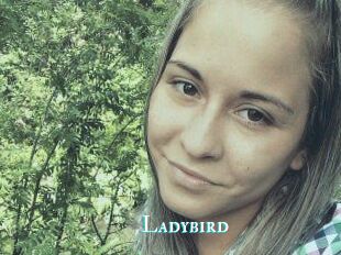 Ladybird