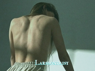Larssondaisy