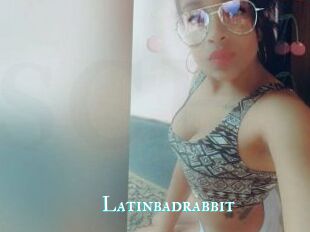 Latinbadrabbit