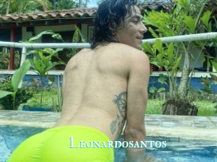 Leonardosantos