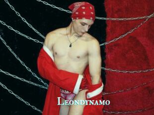 Leondynamo