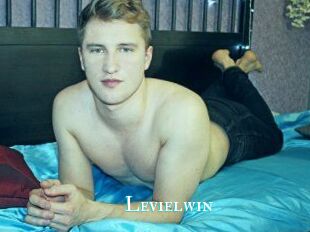 Levielwin