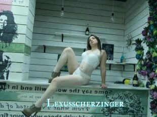 Lexusscherzinger