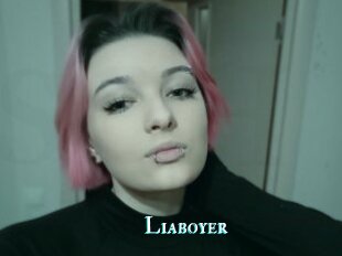 Liaboyer