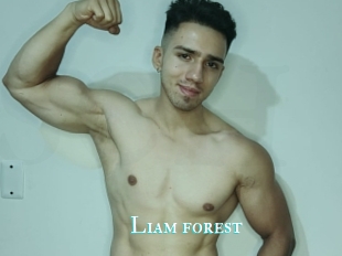 Liam_forest