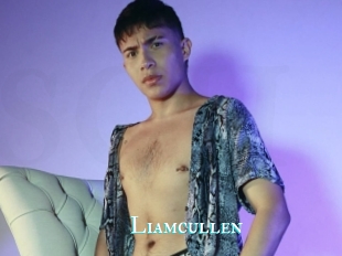 Liamcullen
