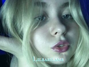 Lilbabylamb