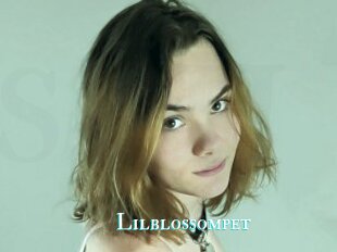 Lilblossompet