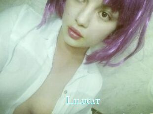 Lilucat