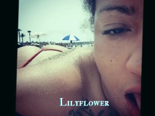 Lilyflower