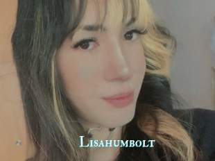 Lisahumbolt