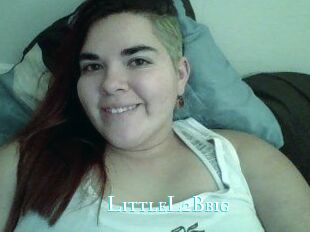 LittleL2Bbig