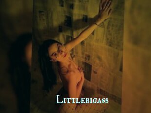Littlebigass