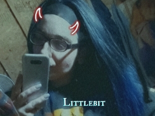 Littlebit