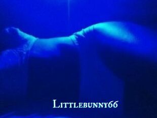 Littlebunny66