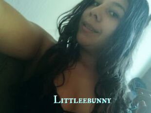 Littleebunny