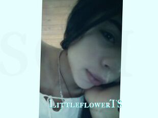 LittleflowerTS