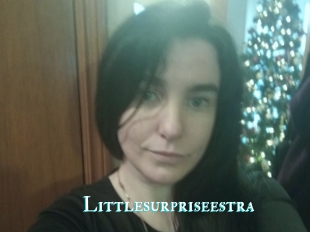 Littlesurpriseestra