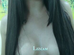 Lizcam