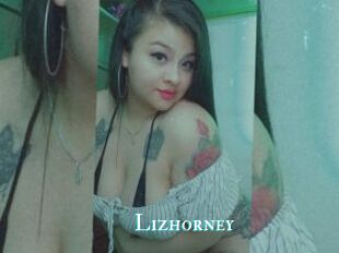 Lizhorney