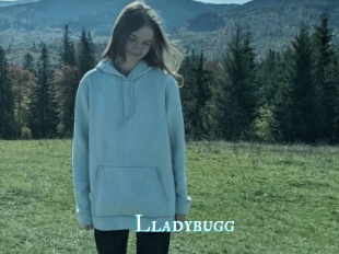 Lladybugg