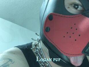 Logan_pup